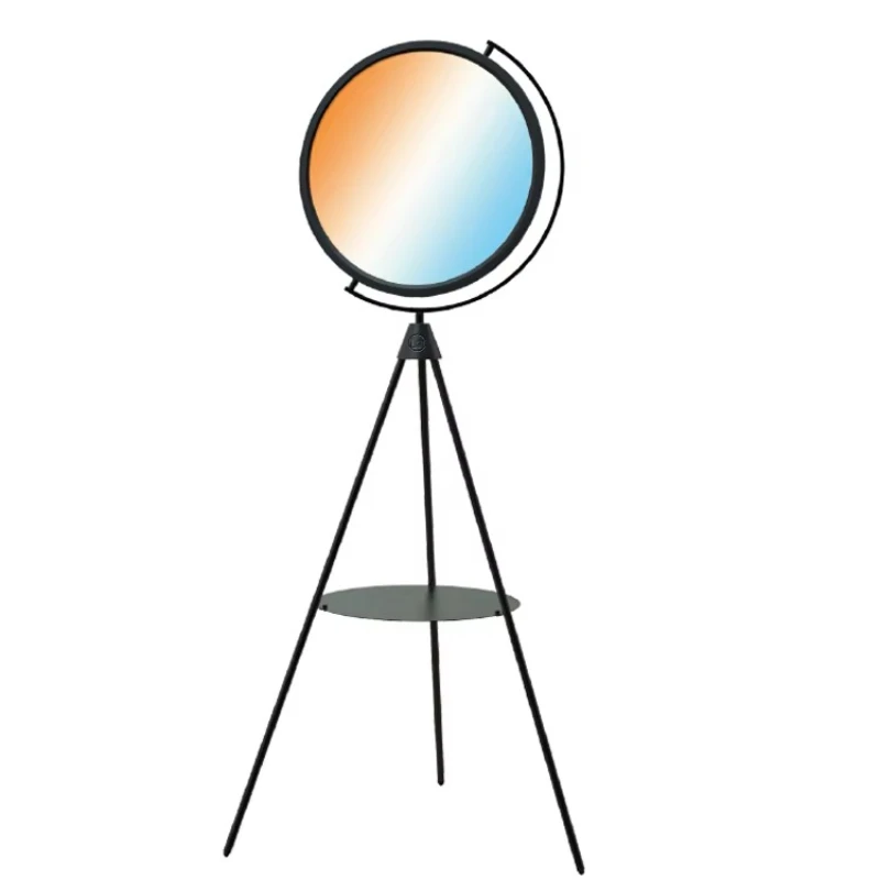 

Modern Nordic Floor Lamp Living Room Decoration Circle Standing Rgb Light Emitting Diode Tripod Round Floor Lamp