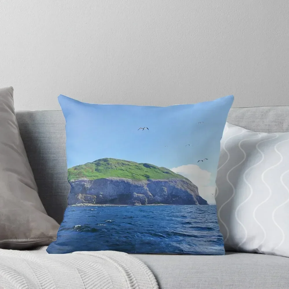 

Ailsa Craig West Coast. Firth of Clyde, Scotland. Throw Pillow Throw Pillow Covers Cushions pillow