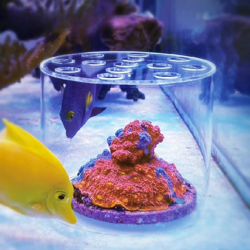 Acrylic Coral Feeding Cover Reproductive Protective Cover Coral Cover Anti-food