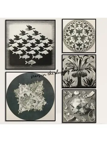 M.C. Escher MC Escher Sky and Water 더블 플래네토이드 팜 아트 포스터, 캔버스 페인팅, 벽 인쇄 그림, 방 홈 데코