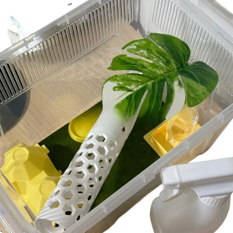 Gecko Feeding Kit F…