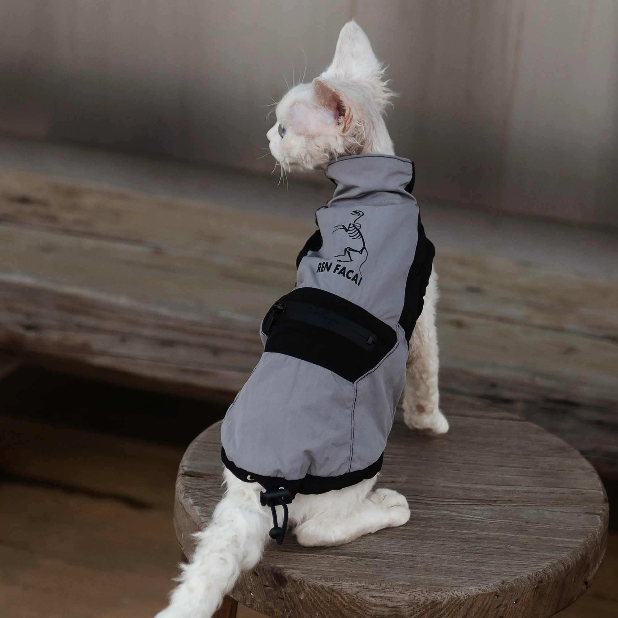 Fashion Outdoor Jacket for Sphynx Cat 2 Legged Grey Short Sleeves for Devon Waterproof Coat for Kittens interchange Jacket