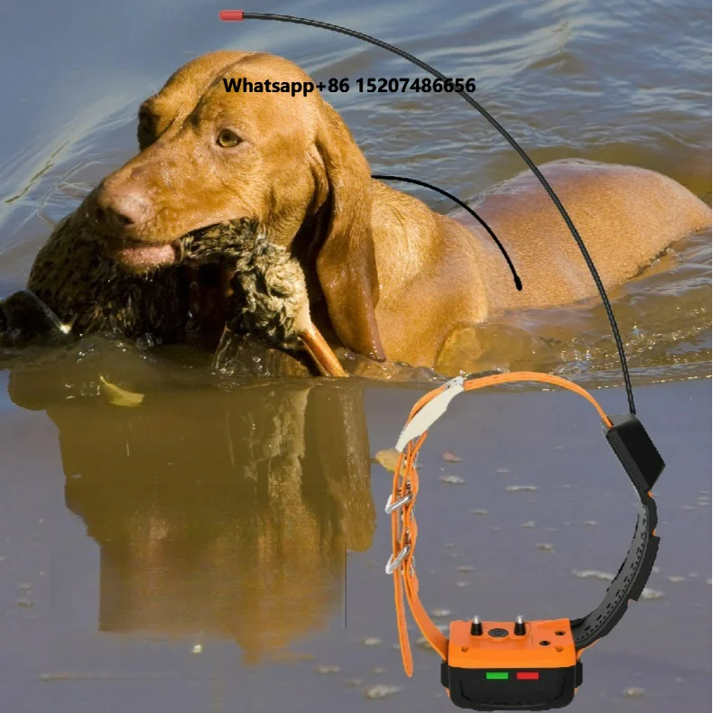 Outdoor Hunting Dog Collar - Оптовая продажа: 4G GPS-ошейник для собак