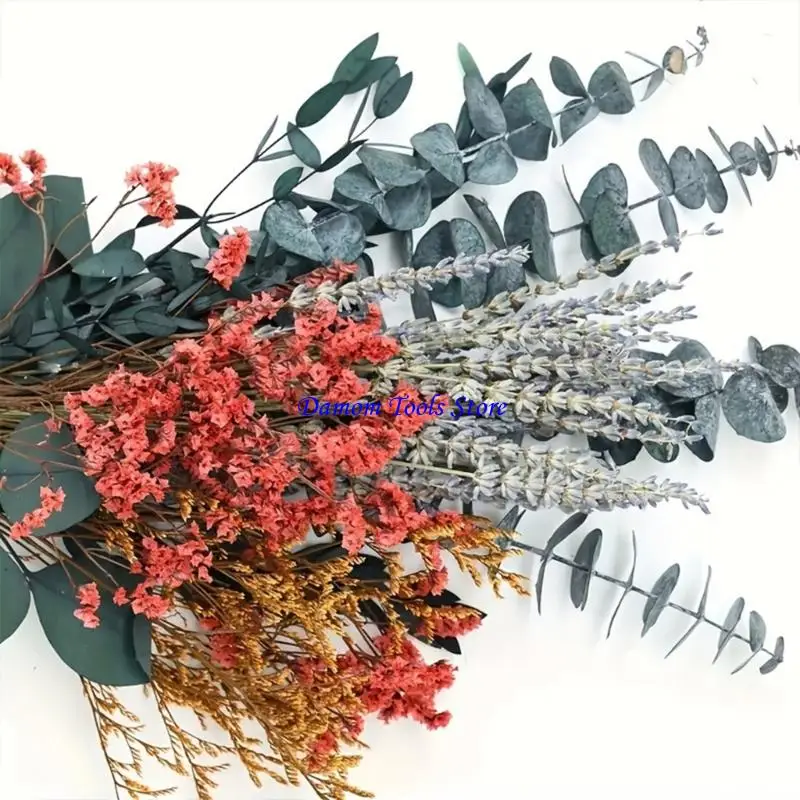 57BE Preserved Gum Trees Stems Lavender Leaves Natural Shower Decors Greenery 40pcs