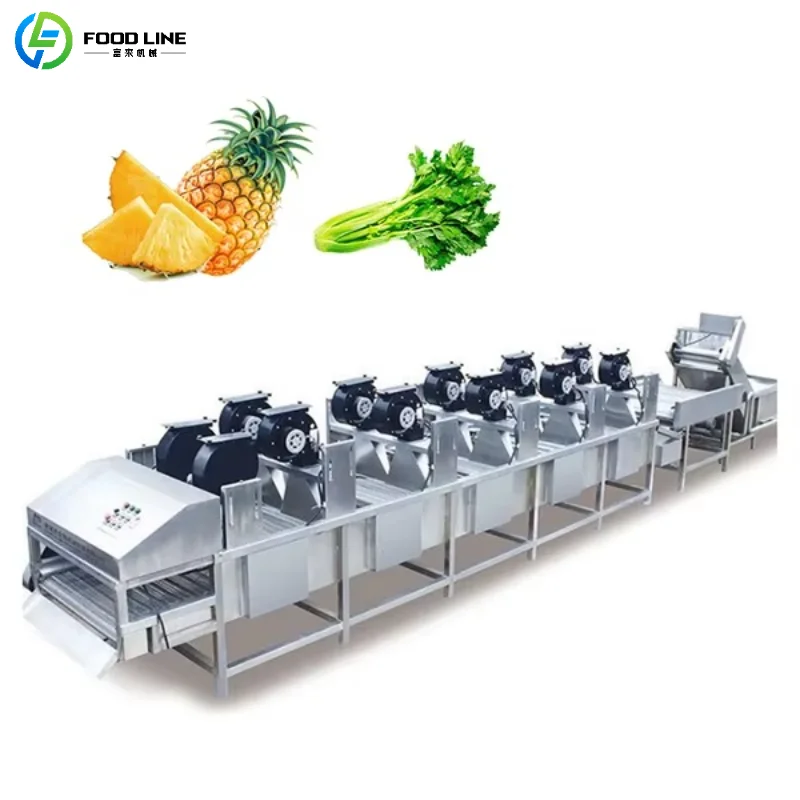 Customized Commercial Fruit and Vegetable Drying Conveyor Belt High-Efficiency Air Drying Stainless Steel Device