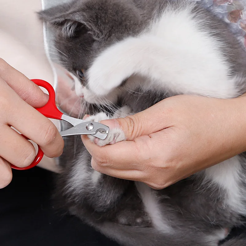 Cat Nail Scissors Pet Dog Nail Clippers Toe Claw Trimmer Professional Pet Grooming Products For Small Puppy Dogs Cat