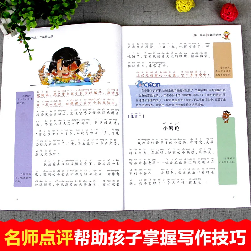 Primary School Students' Writing for Grades 2-6, Children's Extracurricular Reading, and Specialized Chinese Language Training