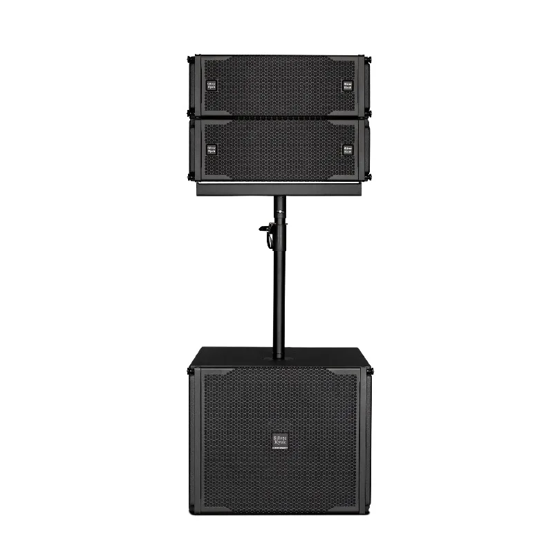

Speaker for Bars Concerts and Outdoor Performances 250W Dual 6.5 Inch Two Way Passive Line Array