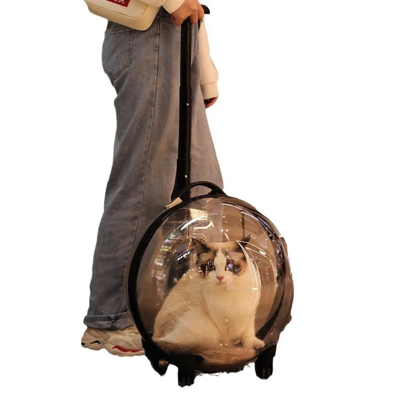 

Cat bag going out portable trolley case