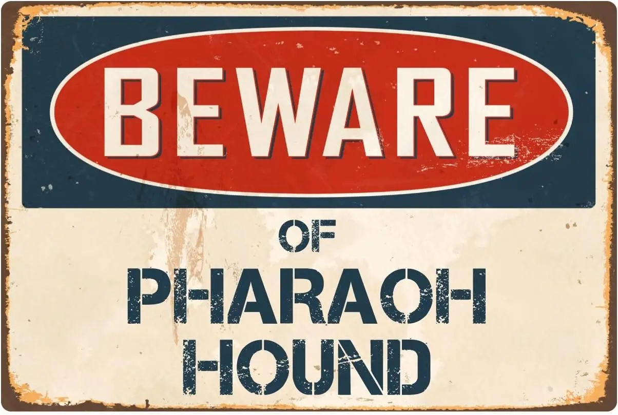 StickerPirate Beware of Pharaoh Hound 8” x 12” Vintage Aluminum Retro Metal Sign VS326 sign