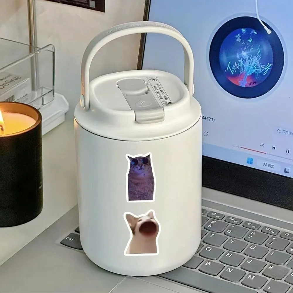 100 szt. Śmieszne wodoodporne naklejki MEME Graffiti Samoprzylepne Zdejmowalne Śmieszne Naklejki z Kotami Naklejki Dekoracyjne