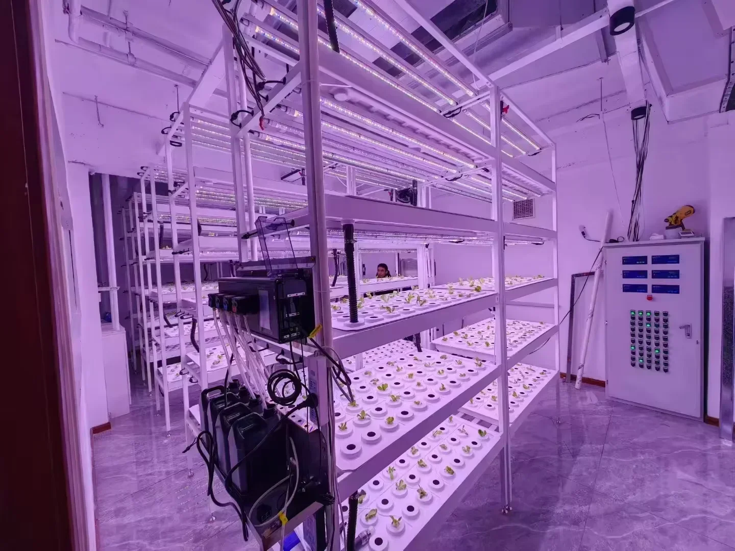 

IN STOCK Farming Digital Nutrient Environment Controller for Hydroponic Aerosol Growing Systems PH EC CO2 Temperature