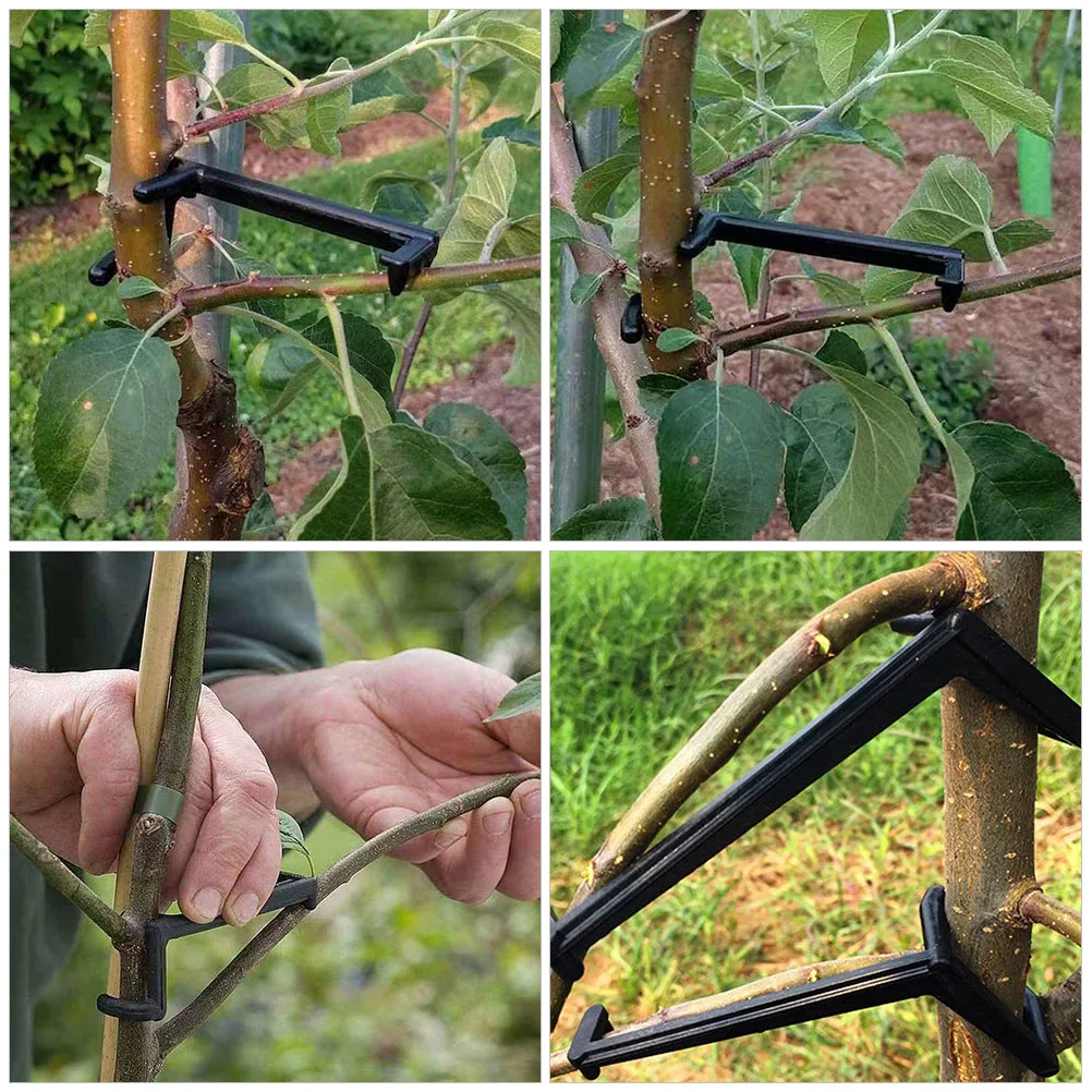 

100pcs Branch Spreaders for Fruit Trees Straightener Modeling Tools Twig Bending Clip Durable Reusable Gardening Accessories
