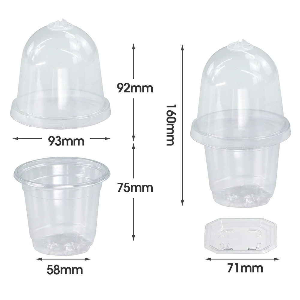 Transparent Nursery Cups for Seeds Seedlings Cutting Clear Germination Box with Humidity Dome Cover Tray Plant Starter Container