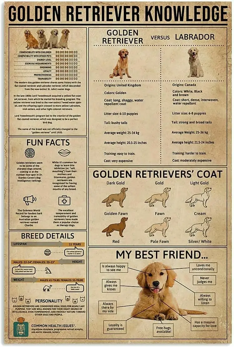 SIGNCHAT Golden Retriever Knowledge Un Wall D¨ ¦ cor Work Gift for New Owner Panneaux en métal rétro, décorations de Noël, 8x12 pouces