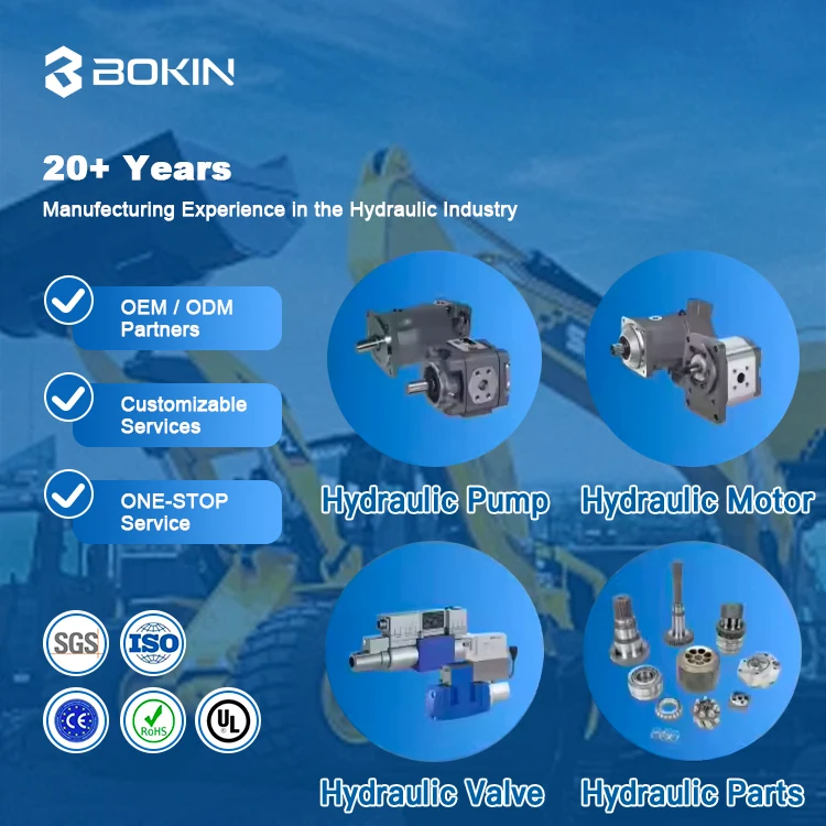 Zawór bezpieczeństwa bezpośredniego działania serii rex roth DBDS6, zawór regulacji ciśnienia, zawór hydrauliczny do maszyn do odlewu ciśnieniowego