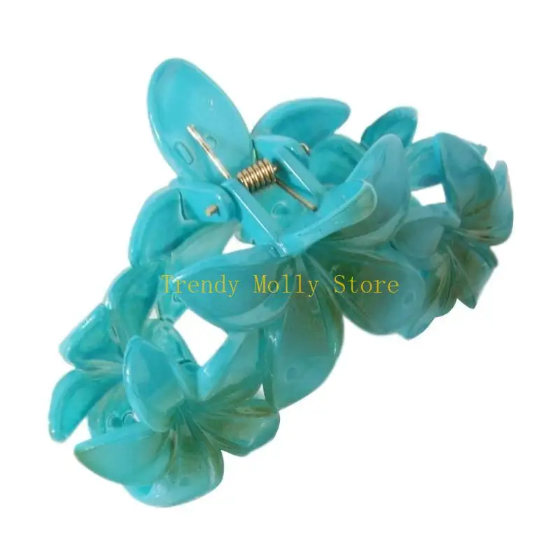 n5kb-temperament-красочный-когтя-для-волос