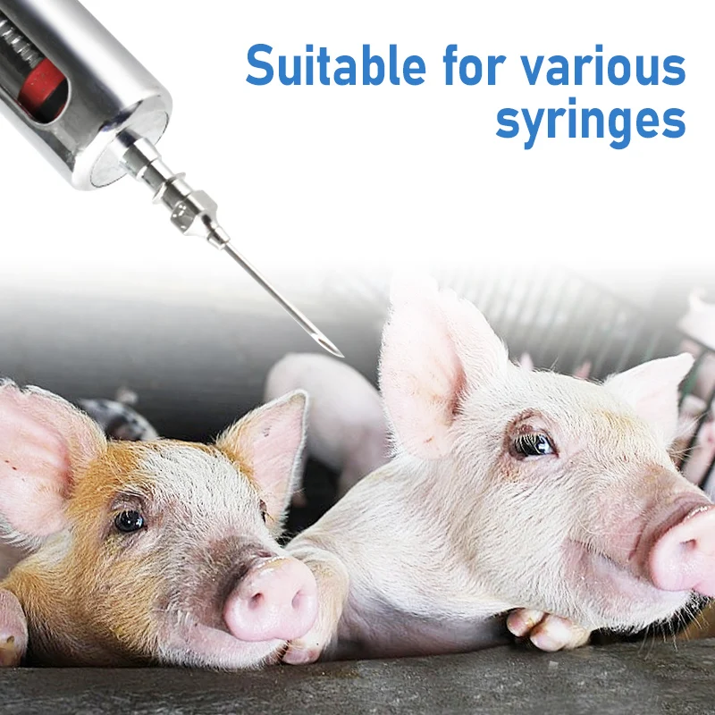 Farm Animals multifunctional Injection Needle Stainless Steel Dispensing Needle Syringe Poultry Small Veterinary Supplies 10Pcs