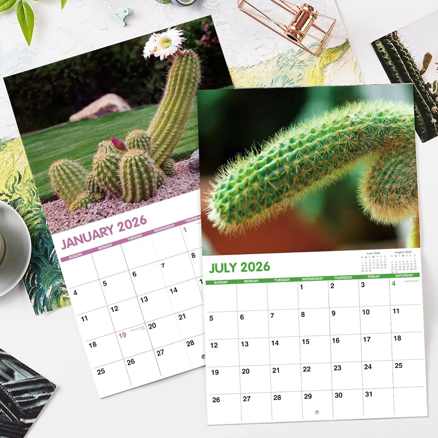 2026 Wall Calendar Funny Cactus Calendar Humorous Planner for Visual Display Scheduling Time Management Reference image 3