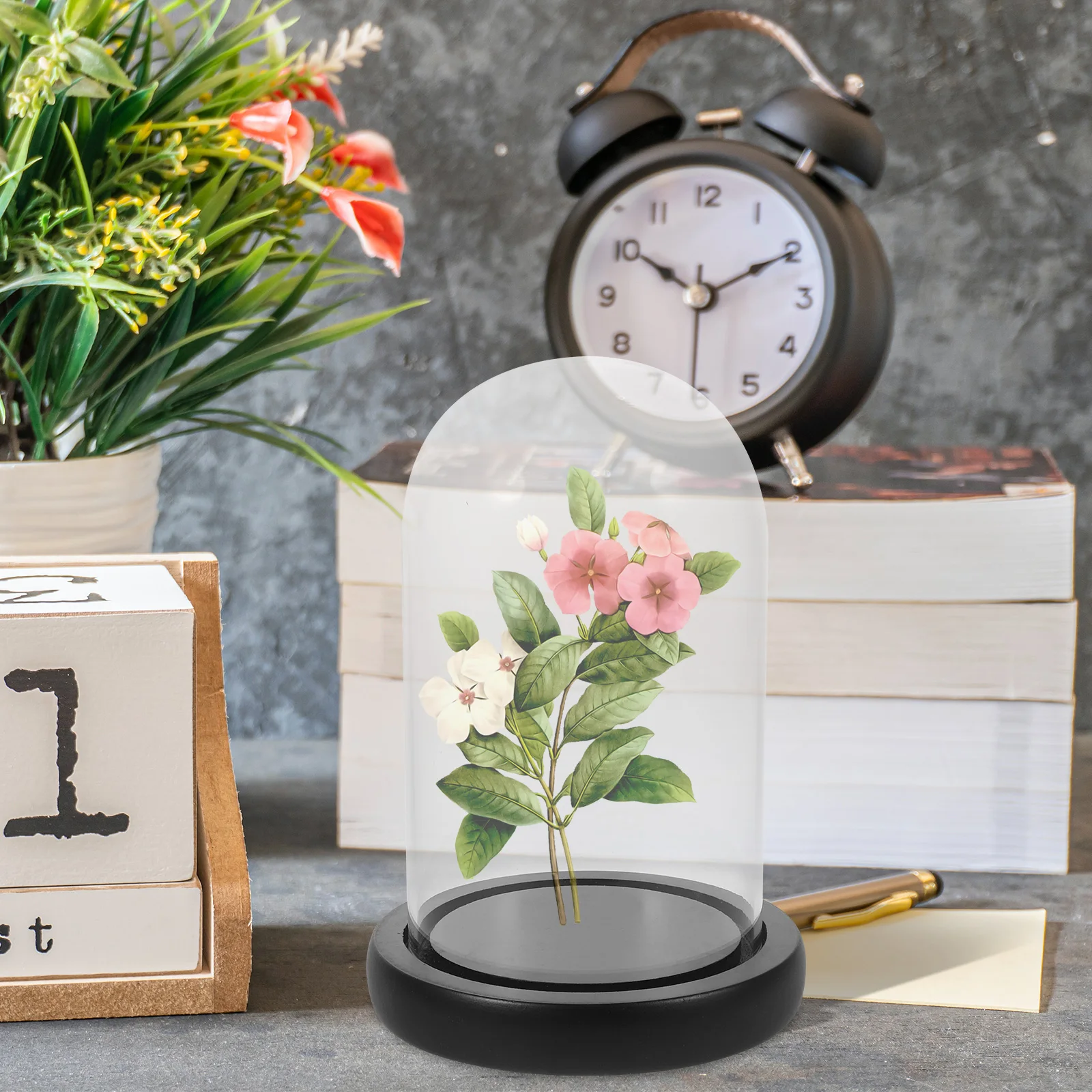 

Glass Dome Cover With Wood Base Transparent Flower Protector Decorative Preserved Display Stand Clear Cloche For Home