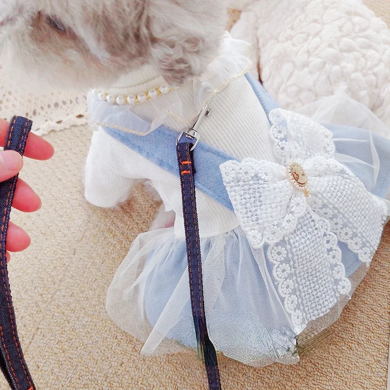 Cross borderPet cat bears Teddy dog clothes autumn and winter clothes autumn princess dress can be equipped with a leash denim