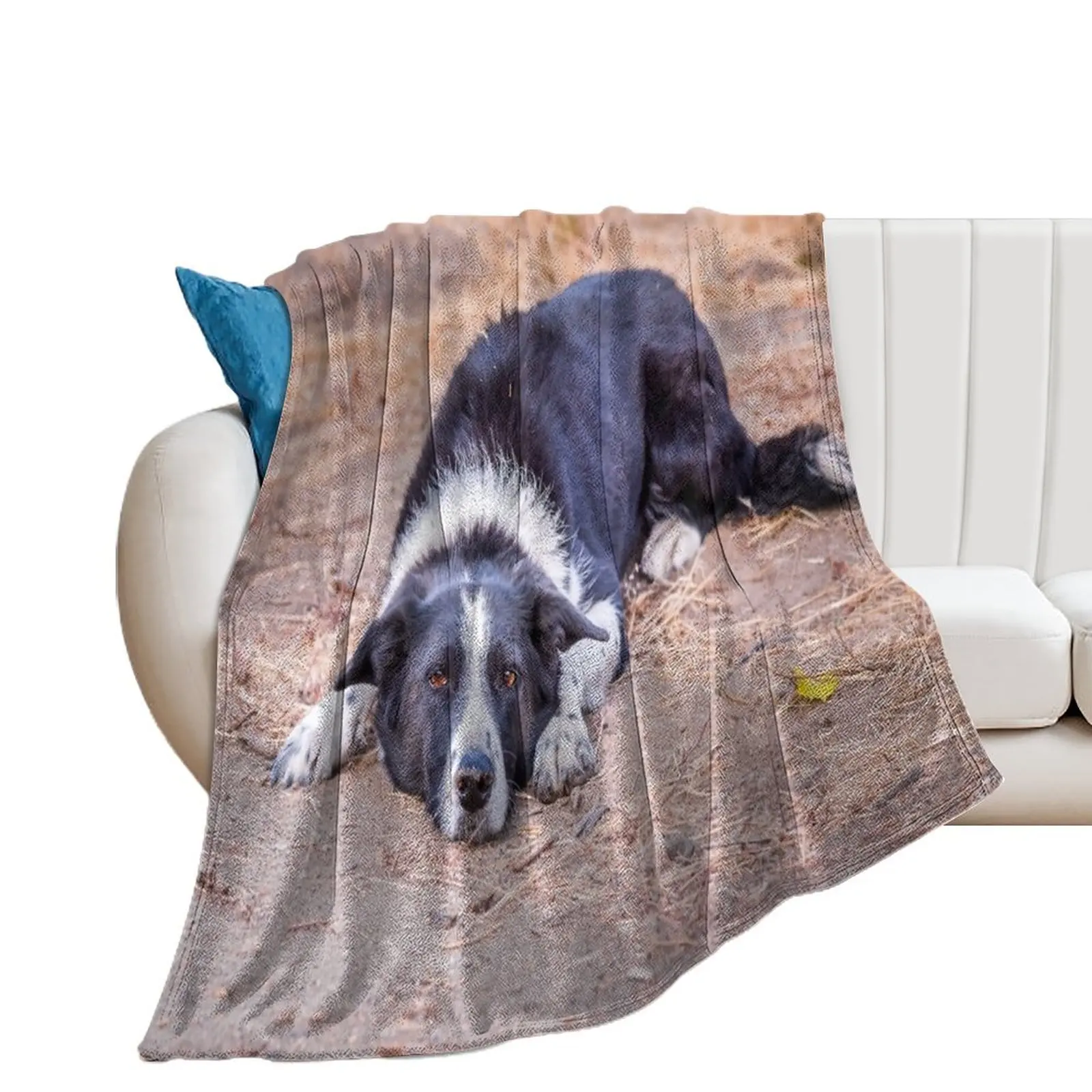 Cute Border Collie Lying on Ground Throw Blanket Blankets For Bed for winter Blankets