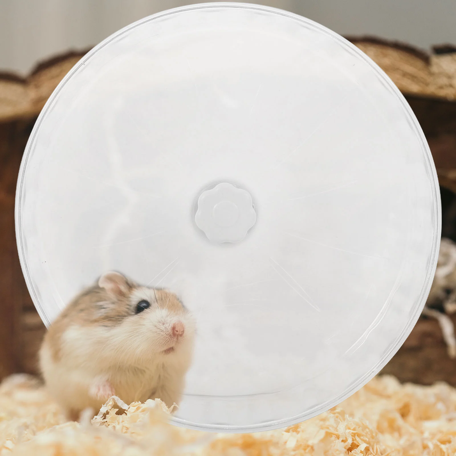 Hamster Running Wheel Guinea Pig Toys Small Animal Machine Rat Chinchilla Plastic Accessories Silent