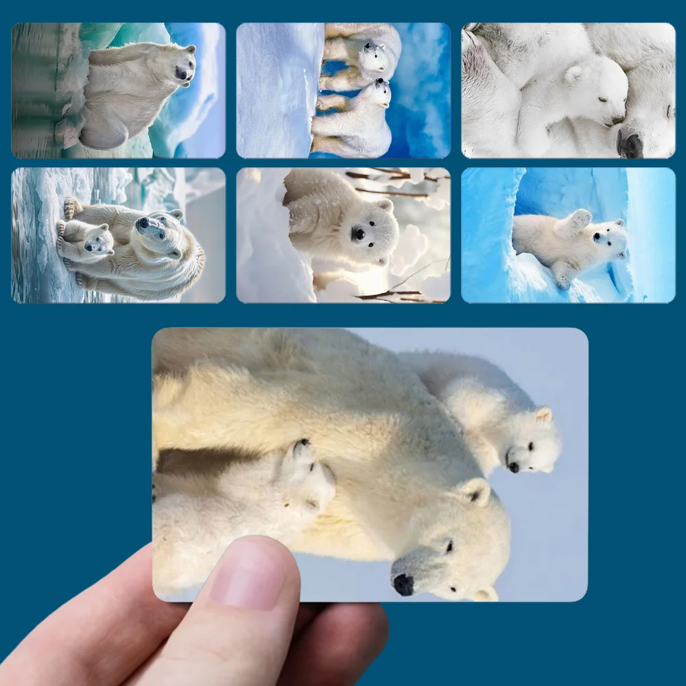 Animal P-Polar Bear Stickers New Cartoon Card Debit Bank Charge Card Bus Metro Waterproof Sticker Decal Decoration