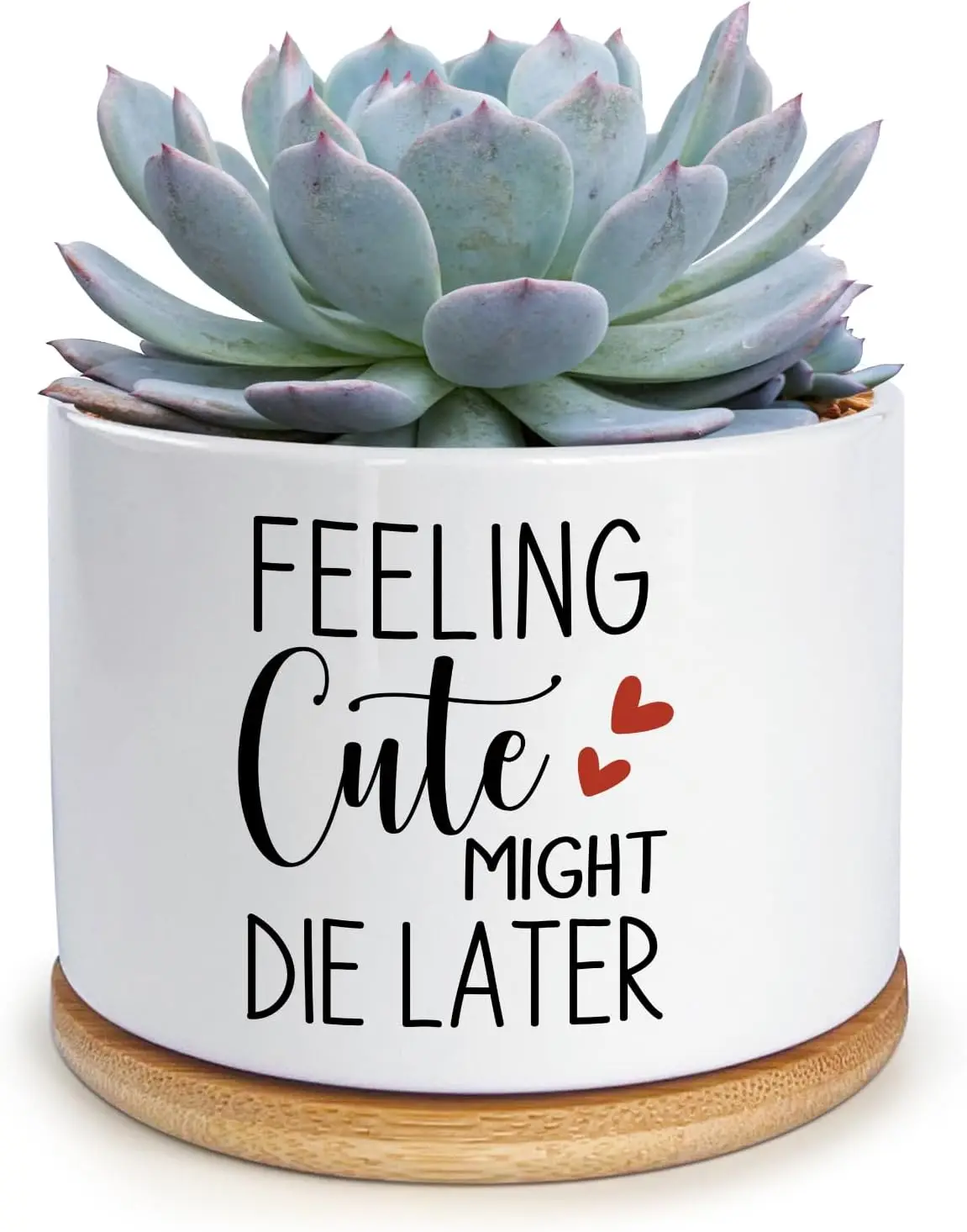 Feeling Cute Might Die Later Planter Funny Ceramic Small Succulent Planter Pots Indoor Plant Pots with Tray for Plant Lover Gift
