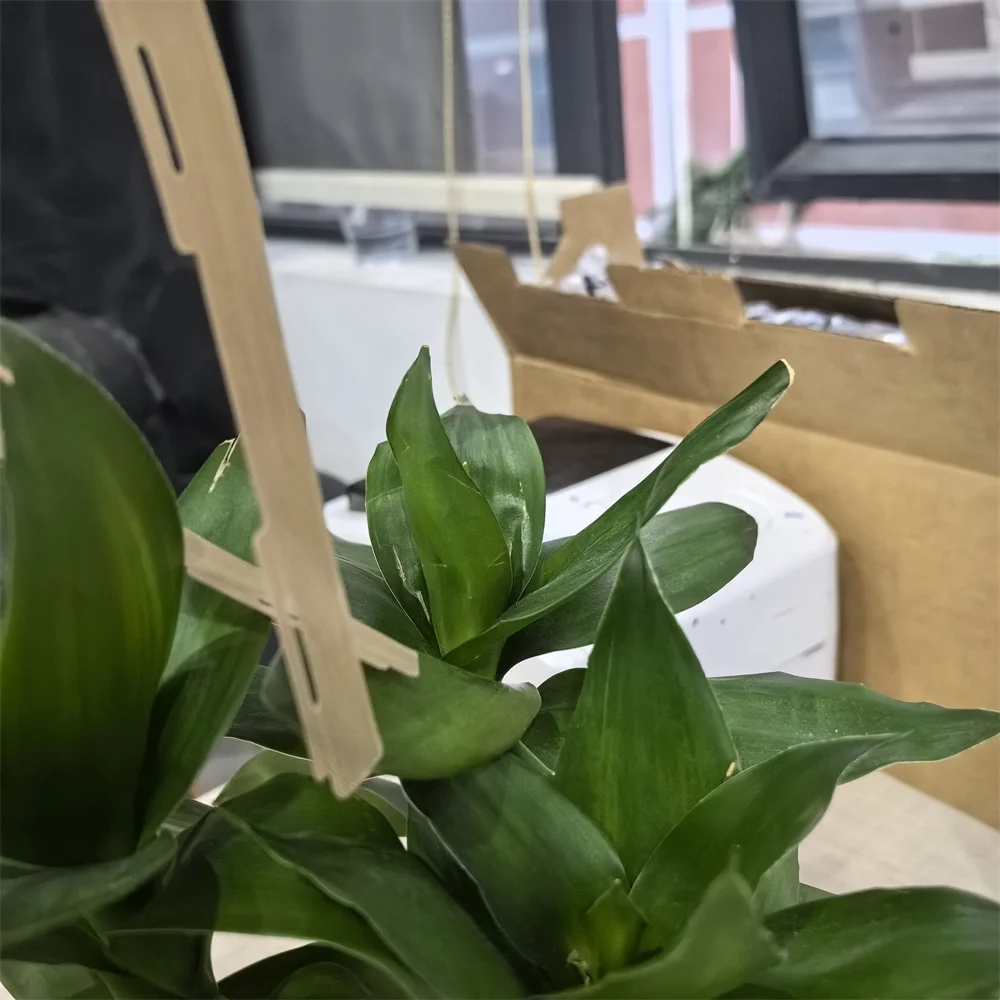 

604K62200 604K94280 604K62210 Fuser Heat Belt Slip Sheet for Xerox WorkCentre WC 7525 7530 7535 7545 7556 7830 7835 7845 7855