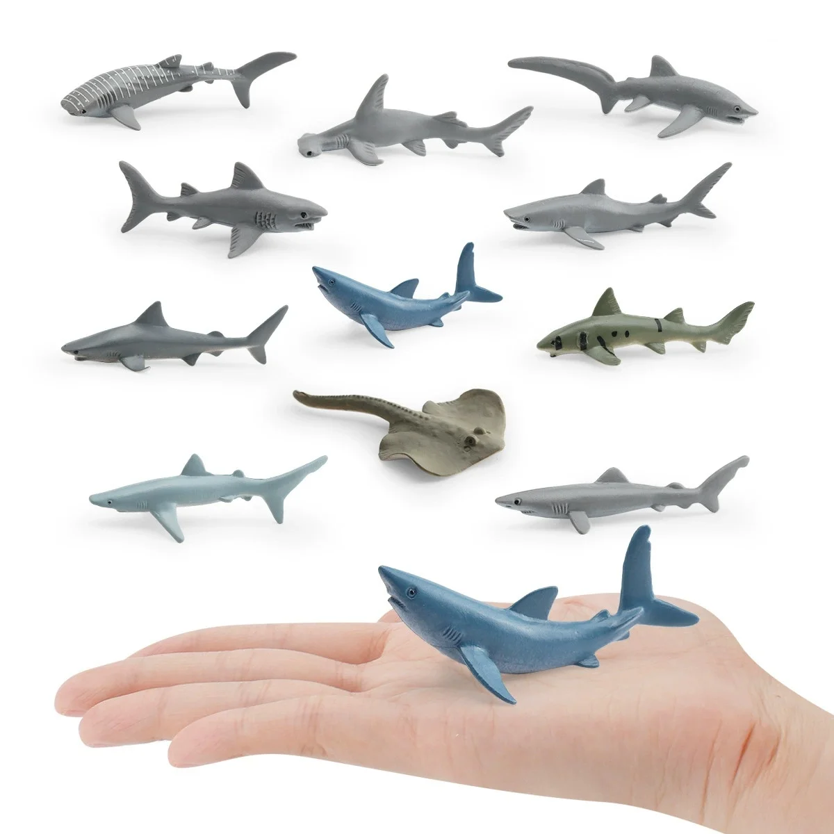 

Mini Simulation Marine Life Models Blue Whale Great White Shark Catshark Action Figures Ocean Aquarium Miniature Education Toy