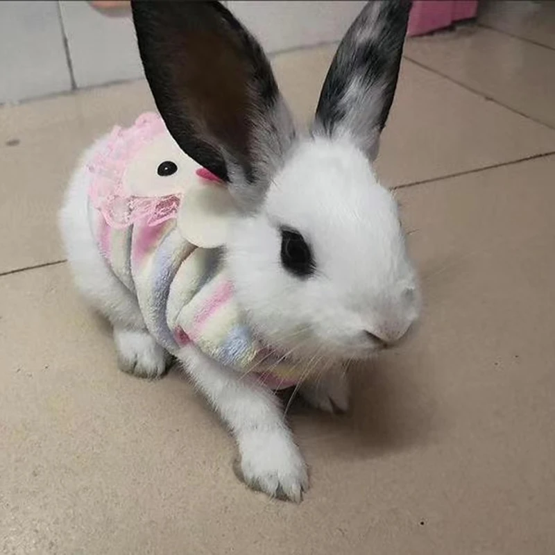 봉제 고양이 토끼 조끼 만화 애완 동물 옷, 새끼 고양이 강아지 토끼 기니피그 따뜻한 양털 작은 동물 의류, 가을 겨울
