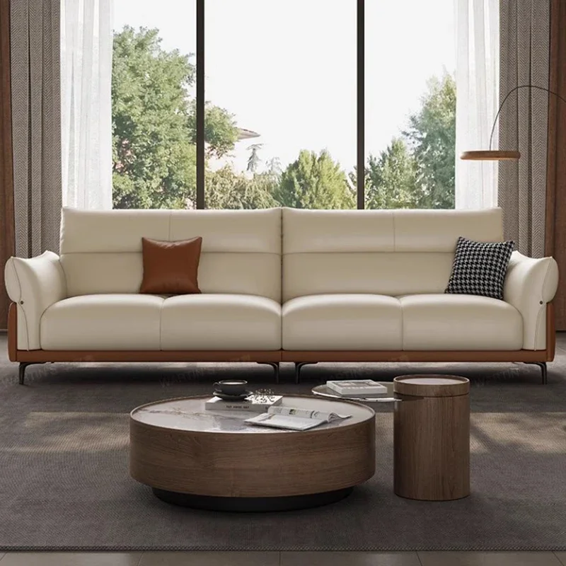 Apartment Minimalist Sofa Modern Household Luxury Italian Sofa Lazy Simple Muebles Para Salas Modernos Living Room Furniture image 2