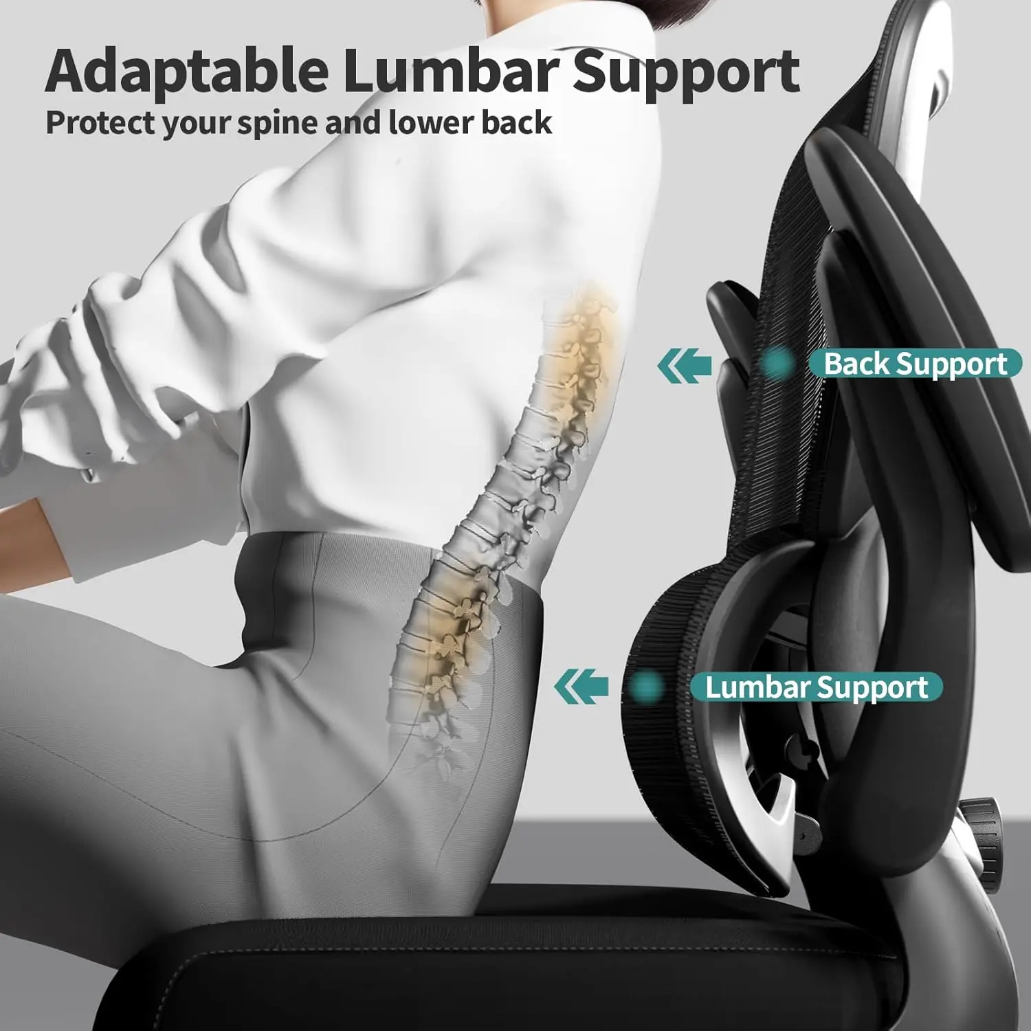 Office Chair - Ergonomic Desk Chair with Adjustable Lumbar Support  (Black)