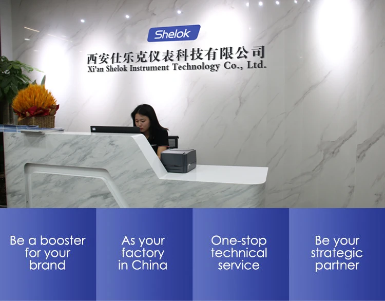 Shelok  -0.095~6 MPa Pressure Calibration Service Providers Dead Weight Pressure Gauge Calibrator Pressure Gauges Calibration