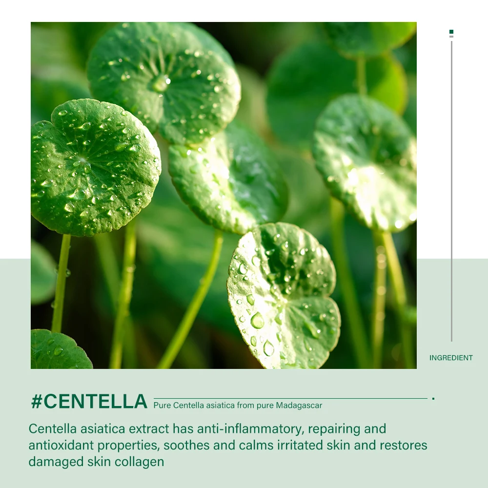 5 pezzi Centella Set di cosmetici per la cura della pelle del viso Set Centella Water Milk Whitening Anti-Aging Set completo di prodotti per la cura della pelle