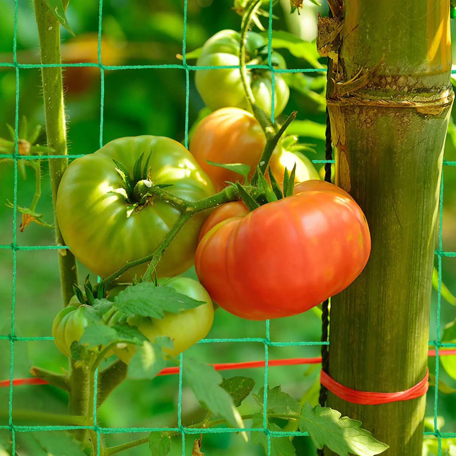 Heavy Duty Climbing Plants Net Garden Trellis Netting Nylon Plant Support for Cucumber Beans Vines Vertical Space Saving Trellis