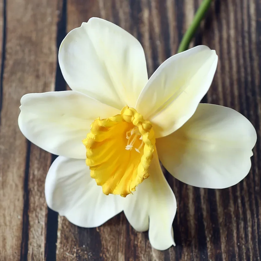 

5 Pack Narcissus Artificial Flowers Home Decor Flower Arrangement Party Garden Decor Fake Narcissus Photography Props