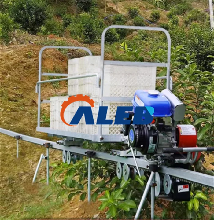 Selbstfahrender Monorail-Transportwagen für den Obstgartenberg/Hot Sale Monorail-Transportwagen