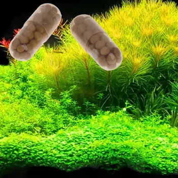 12 最佳銷售 水族箱種子 - №1