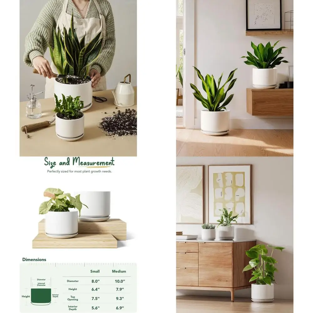 

Набор из 2-х цветочных горшков, 8 и 10 дюймов, для комнатных растений, с дренажем и поддонами, подходят для растений типа «змеиная лапка», монстеры, белые, минималистичный дизайн
