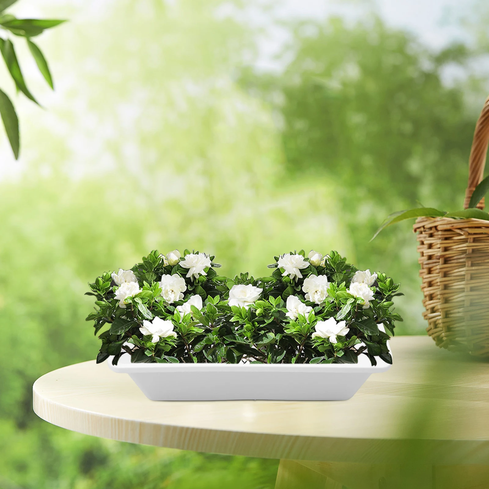 

Wall Mounted Planting Box Garden Planters Hanging Holder Plants Plastic Pot Patio Decor Versatile Design Weather