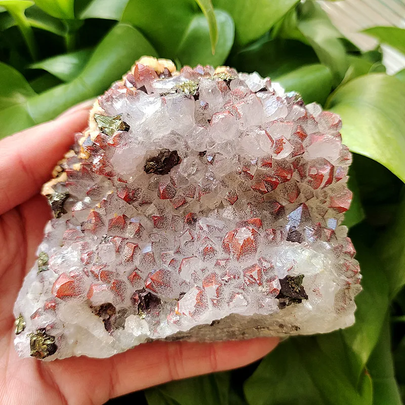 Natural Stone White Crystal Red Crystal and Chalcopyrite Symbiotic Crystal Cluster Mineral Samples Home Fengshui Furnishings