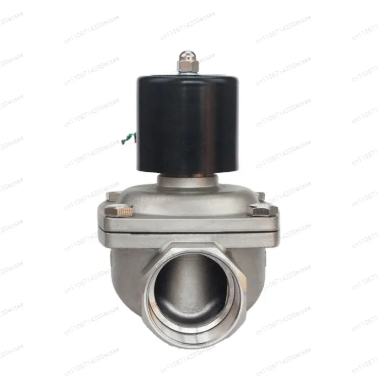 DN50 2 Inch Normally Closed Stainless Steel Solenoid Valve, High Pressure Mini Electric Actuator Direct Acting Valve