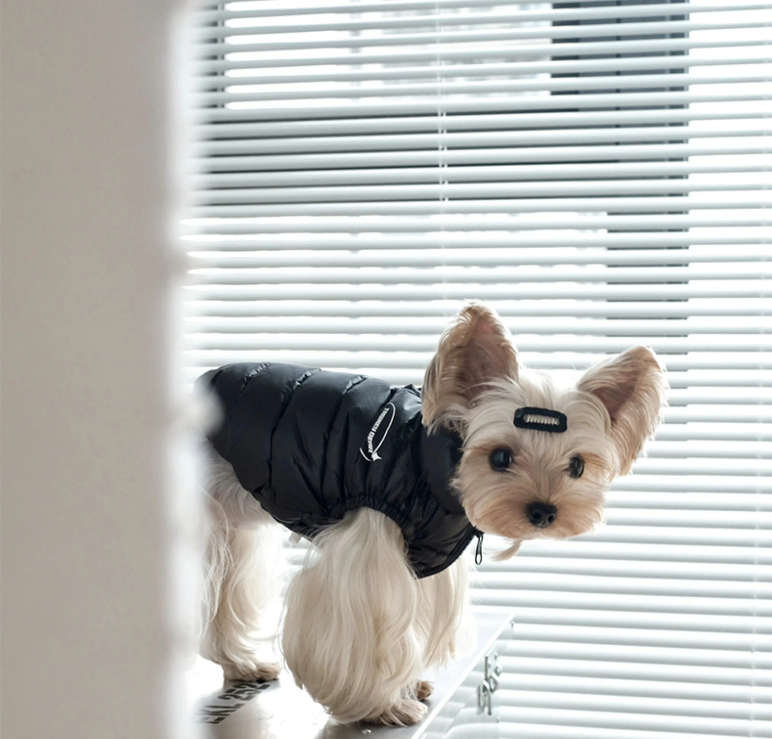 Warm Windproof Cotton Dog Coat Monochromatic Designer Winter Clothes for Large Dogs Puppy Accessories