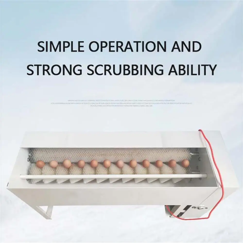 Fully Automatic Egg Cleaning Equipment Commercial Small Stainless Steel Egg Washing Machine High Efficiency