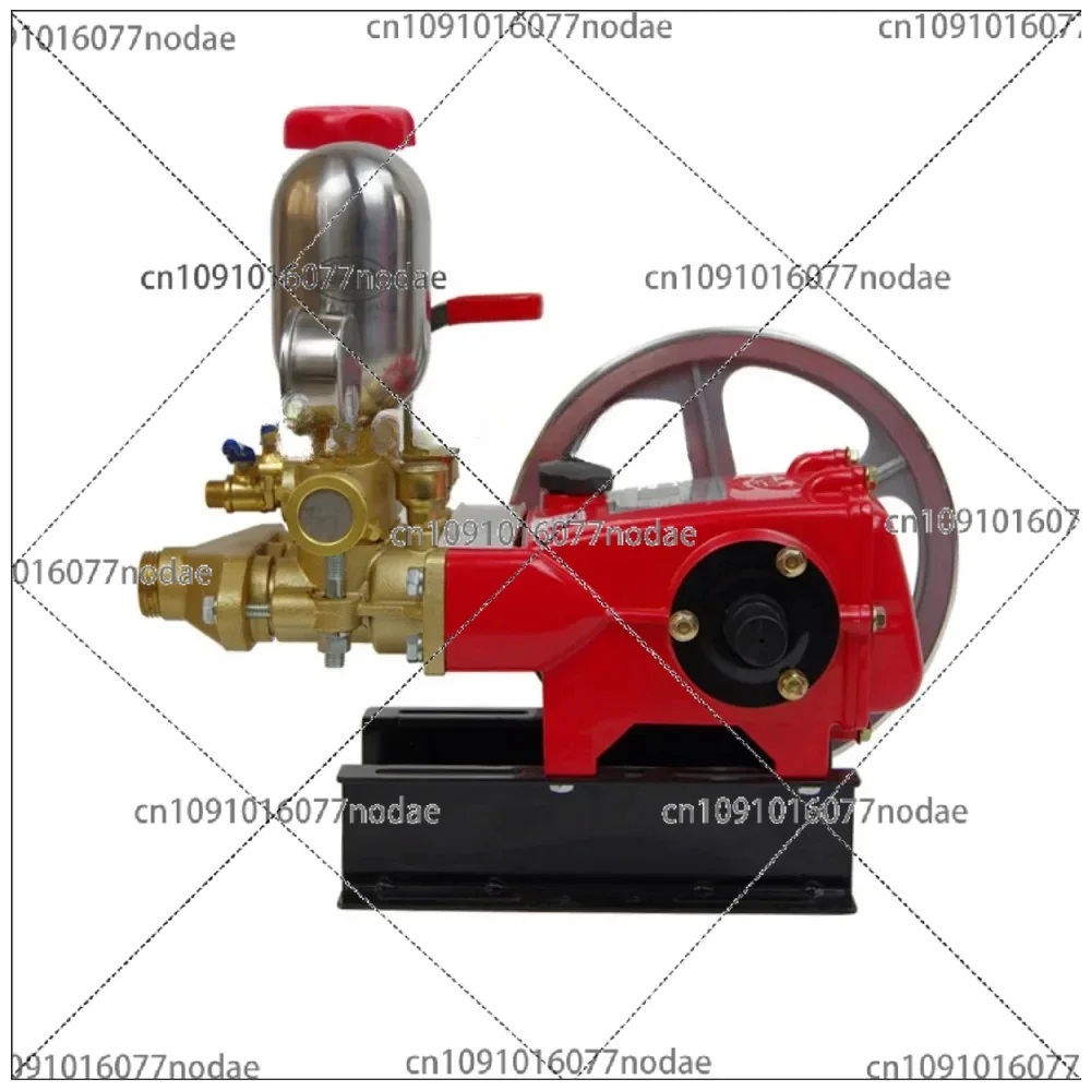 

LS-30C Air-Type Agricultural Three-Cylinder Plunger Pump Power Sprayer Pump for Pesticide Spray High Pressure Water Pump