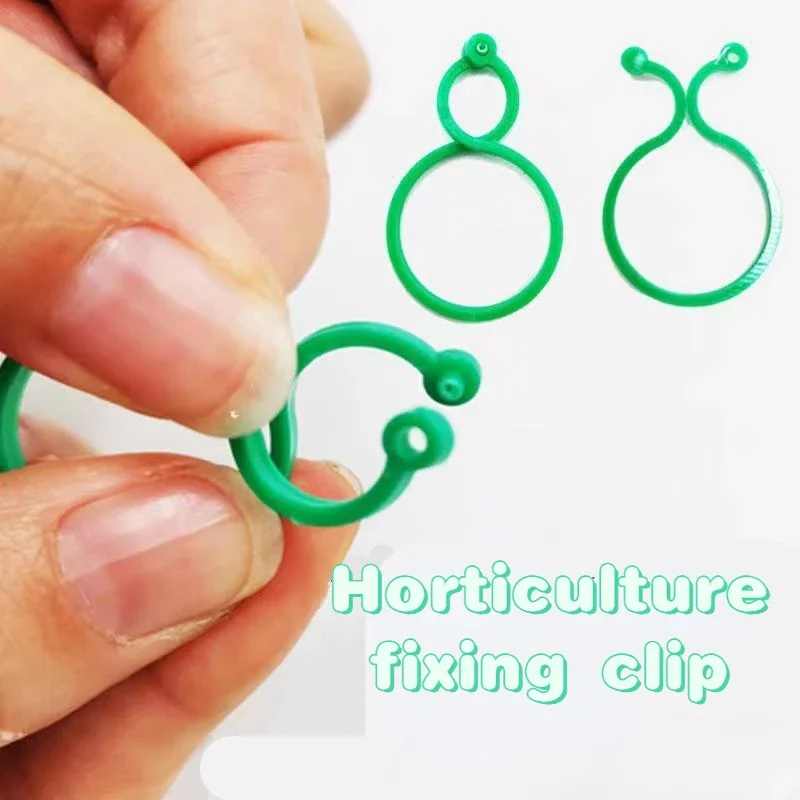 

Planting Vines Fixed Clip Climbing Plant Stem Support Garden Tools 8-figure Buckle Multi-functional Gardening 8-figure Buckle