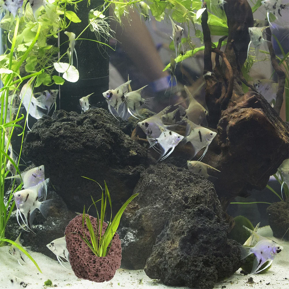

8Pcs Volcanic Rock Aquarium Decoration Dual Hole Natural Lava Rock Fish Tank Landscape Ornaments for Betta Shrimp