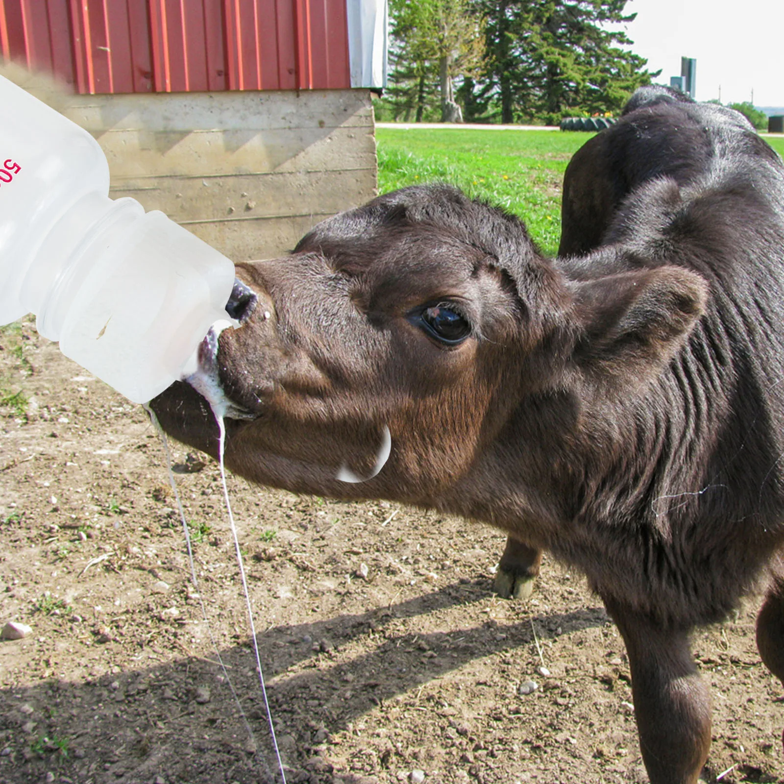 

10Sets Durable Lamb Milk Bottles Premium Material Antibite Wearresistant Large Capacity Suitable for Piglet Calf Sheep Cow